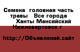 Семена (головная часть))) травы - Все города  »    . Ханты-Мансийский,Нижневартовск г.